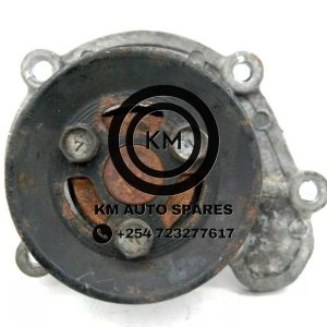 Nissan CR12 Water Pump