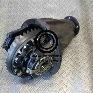 Toyota Land Cruiser Prado J95 Rear differential